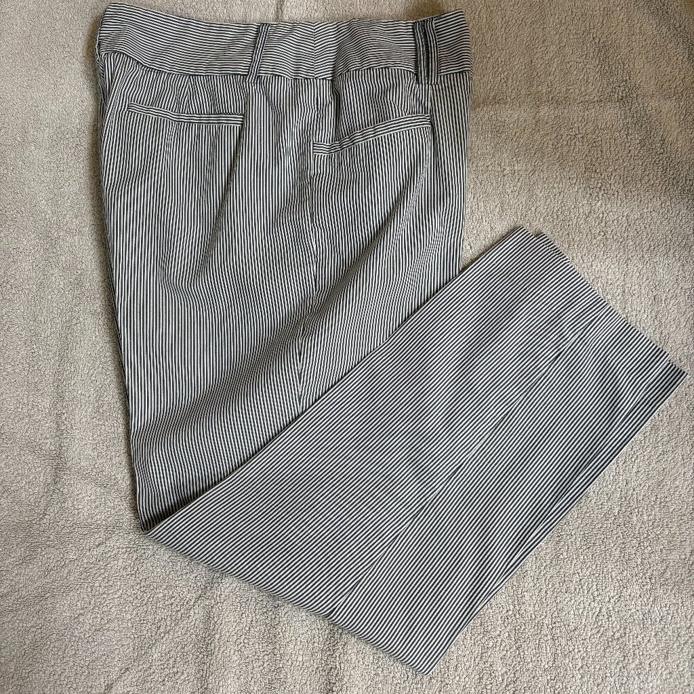 Women's Ankle Length Pants - Blue/White Striped - Size 14